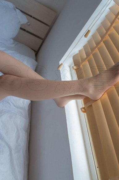 半岛web版登录入口