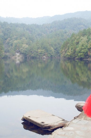 半岛web版登录入口