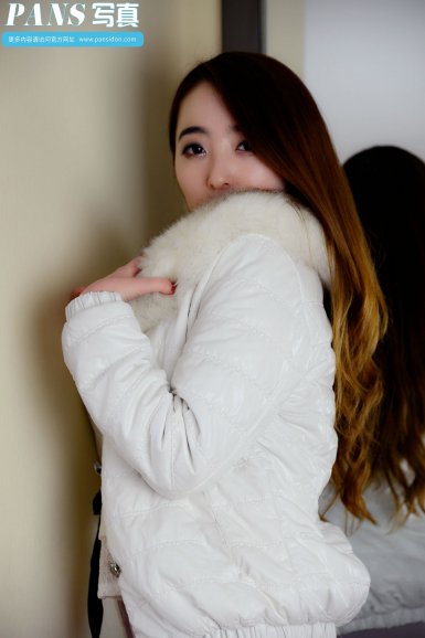 半岛web版登录入口